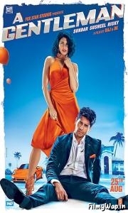 A Gentleman (2017)    