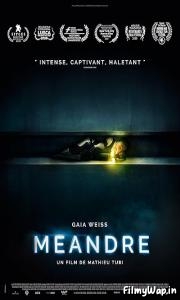  Meander (2020)