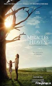 Miracles from Heaven (2016) 